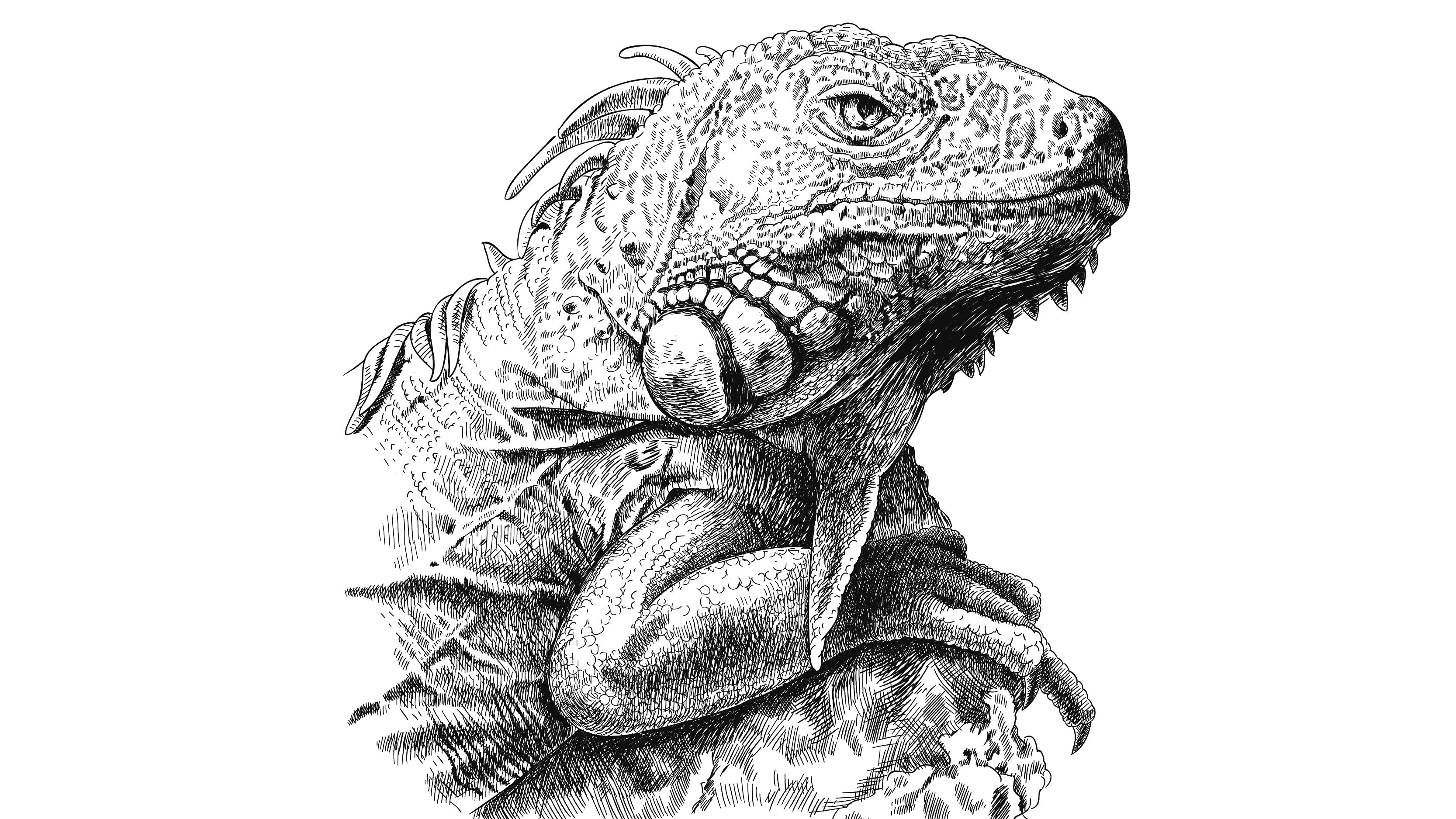 Extraordinary connections